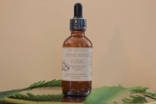Lion's Mane Tincture