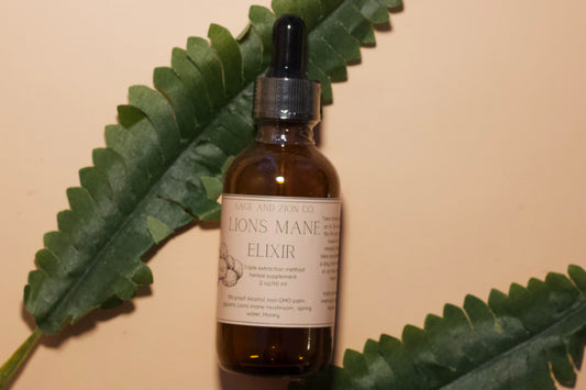 Lion's Mane Tincture